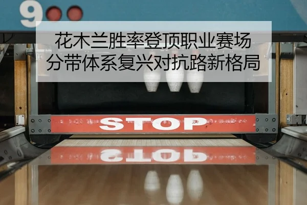 花木兰胜率登顶职业赛场 分带体系复兴对抗路新格局
